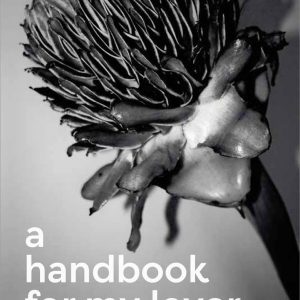 Read more about the article A handbook for my lover..a handbook or erotic memoir?