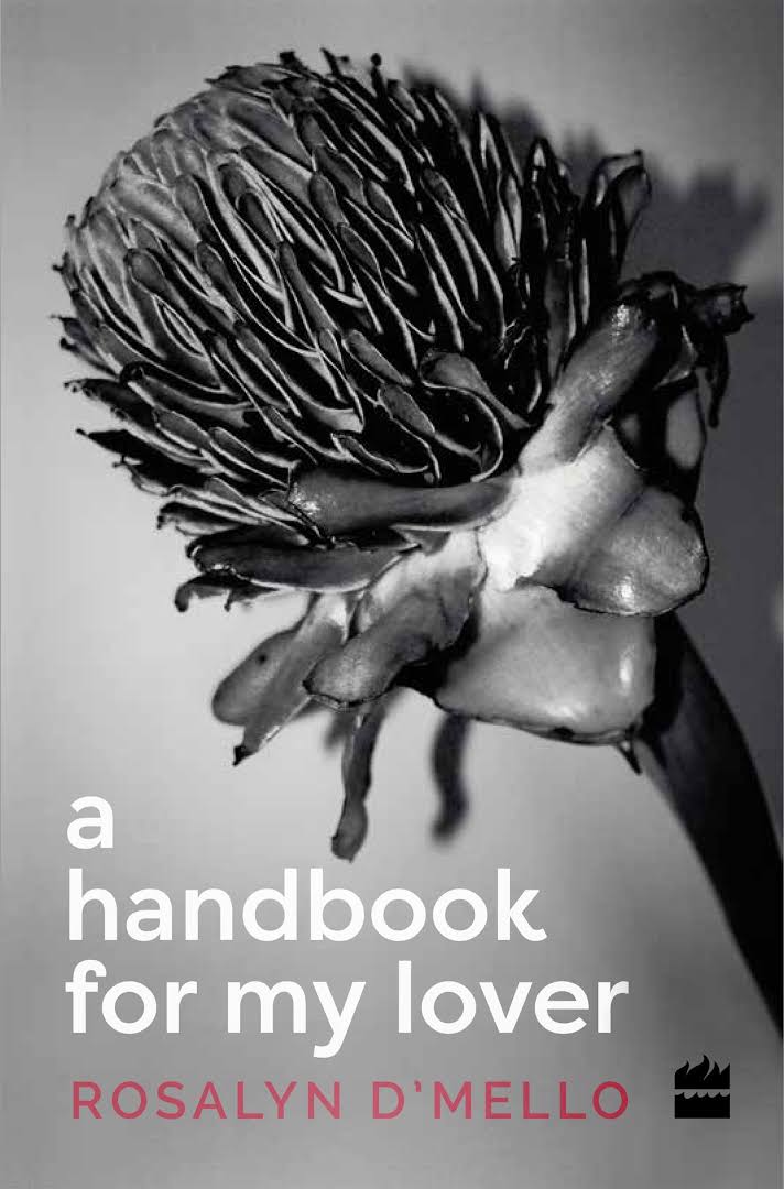 You are currently viewing A handbook for my lover..a handbook or erotic memoir?