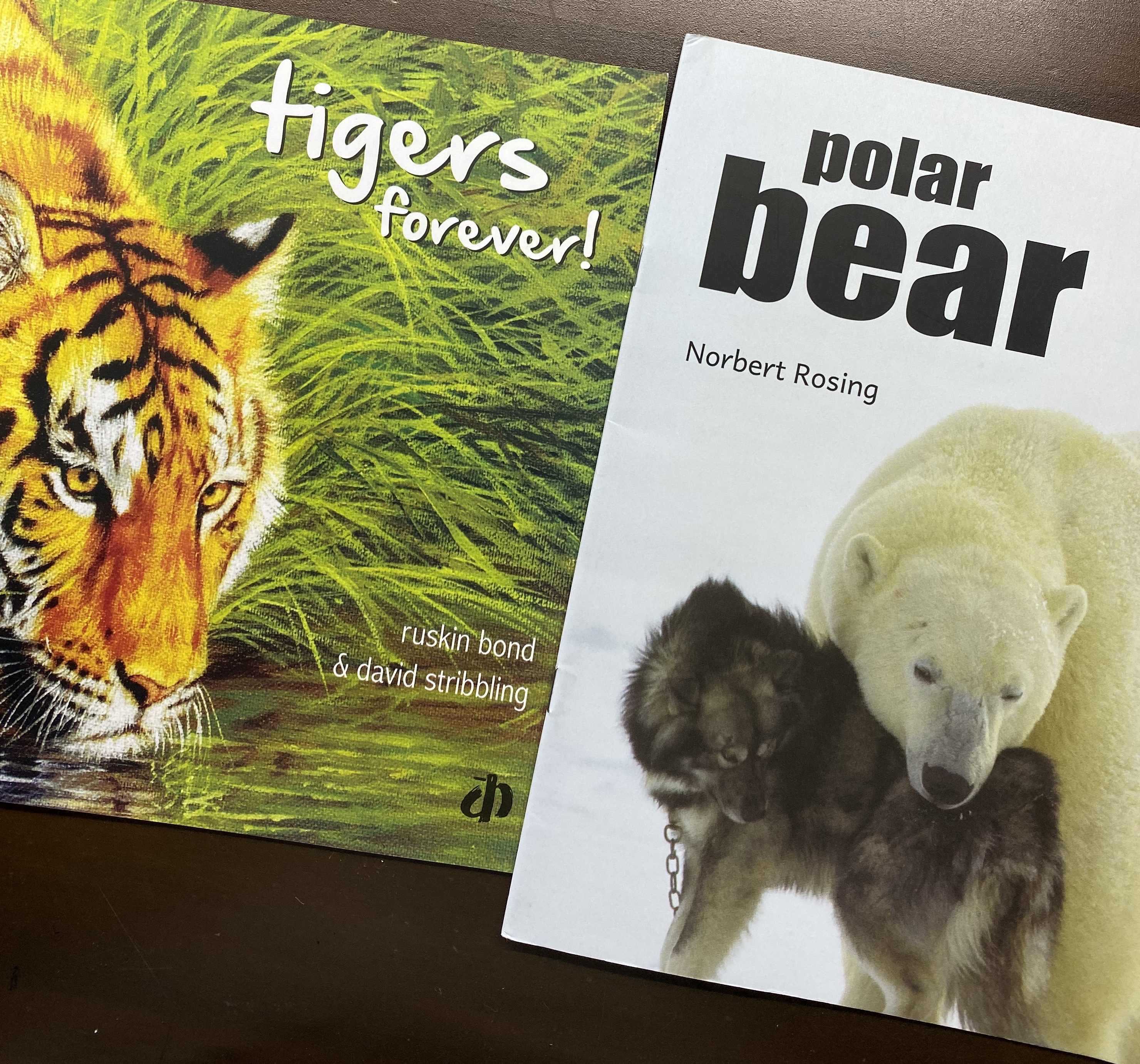 Read more about the article Stories from the Wild….two picture books from Katha focus on two magnificent animals