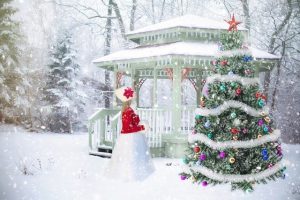 An open invitation to Christmas is the decorated shimmering evergreen Conifer tree. A simple story about decorating the tree….filled with Christmas reads!