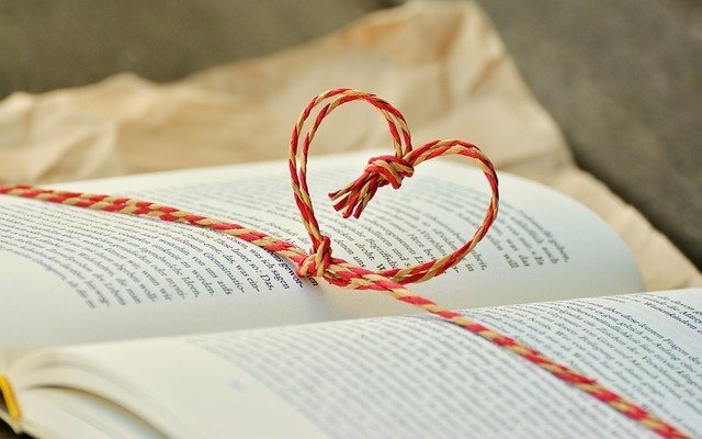 Read more about the article The Festive Edit – Your book-buying and Diwali gifting guide