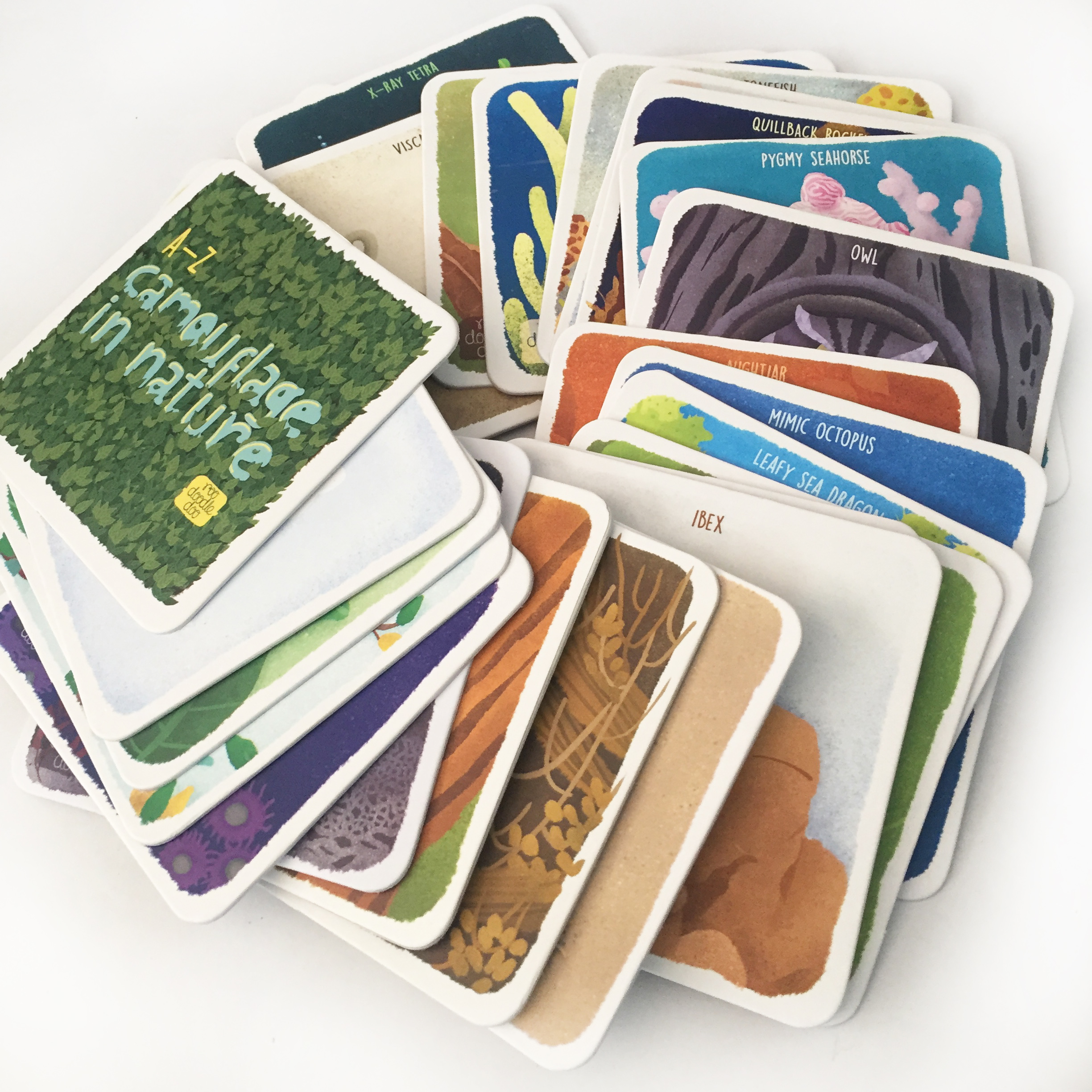 Read more about the article Camouflage Cards: Bringing the beauty of illustration to education